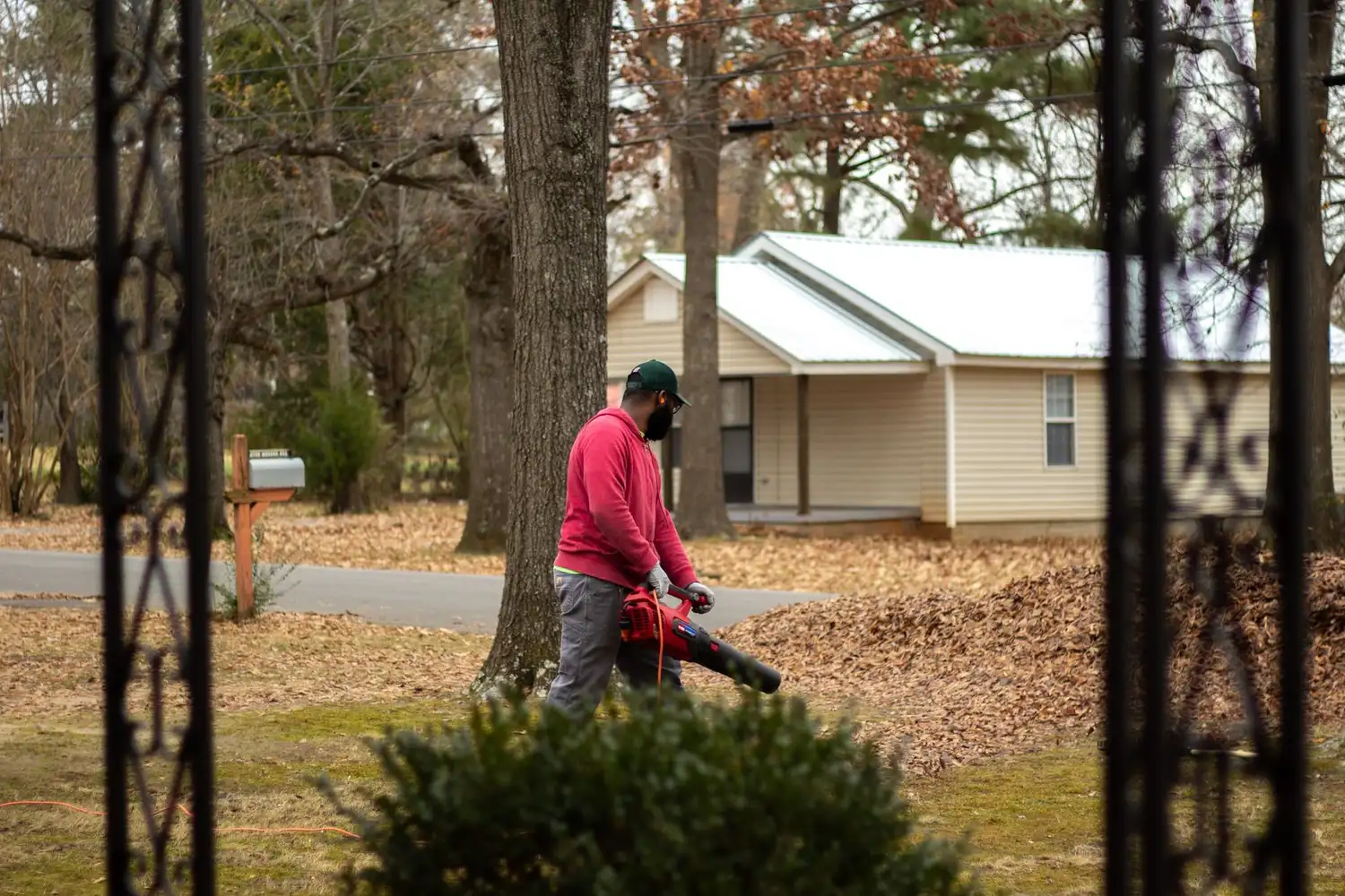 Yard Cleanup & Overgrowth Removal in Central Maryland